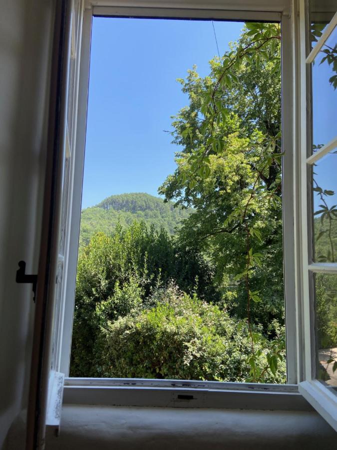 Generargues La Frigoule, Un Gite Au Coeur Du Parc Des Cevennes מראה חיצוני תמונה